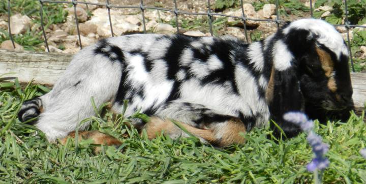 Fiona, 03/2012